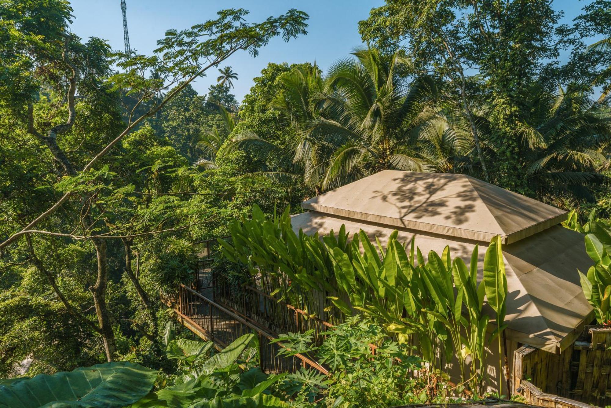 Kanva Ubud Tegallalang  Zimmer foto