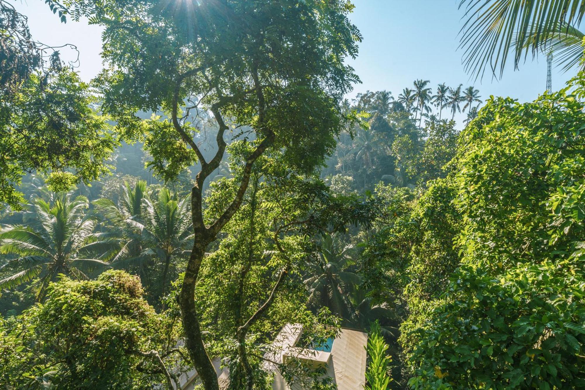 Kanva Ubud Tegallalang  Zimmer foto