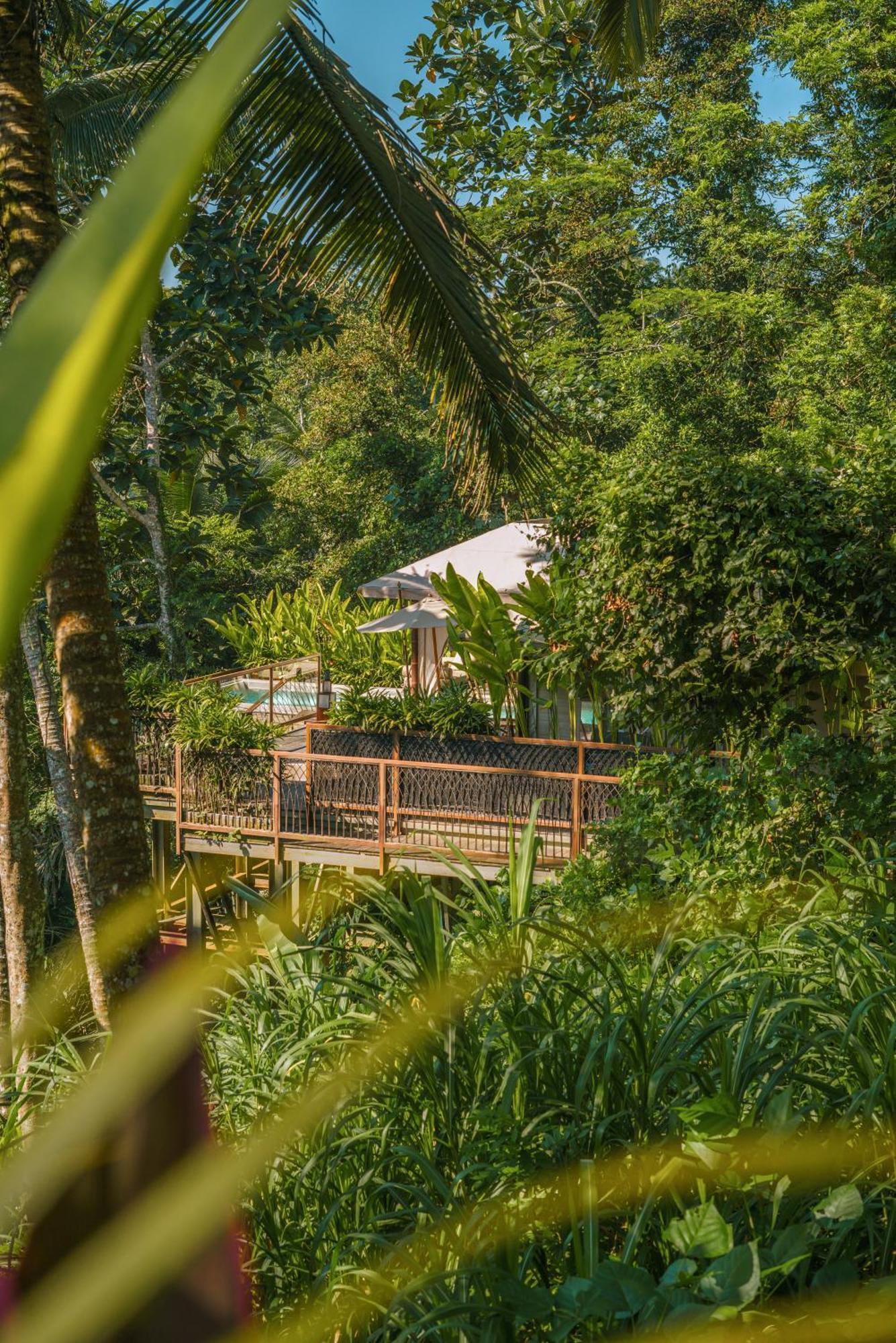 Kanva Ubud Tegallalang  Zimmer foto